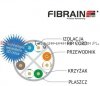 FIBRAIN DATA Quick kat.6 U/UTP 500Mhz, drut, PVC szary (305m)